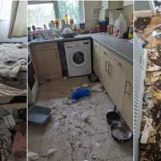 Wednesbury woman banned from keeping animals after abandoning pets in filthy flat