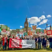 Wiltshire Council Backs Residents in Fight Against Massive M4 Solar Park