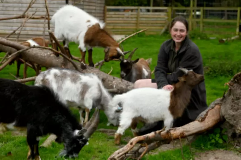 10 Unforgettable Reasons to Visit Hoo Zoo in Shropshire This Year