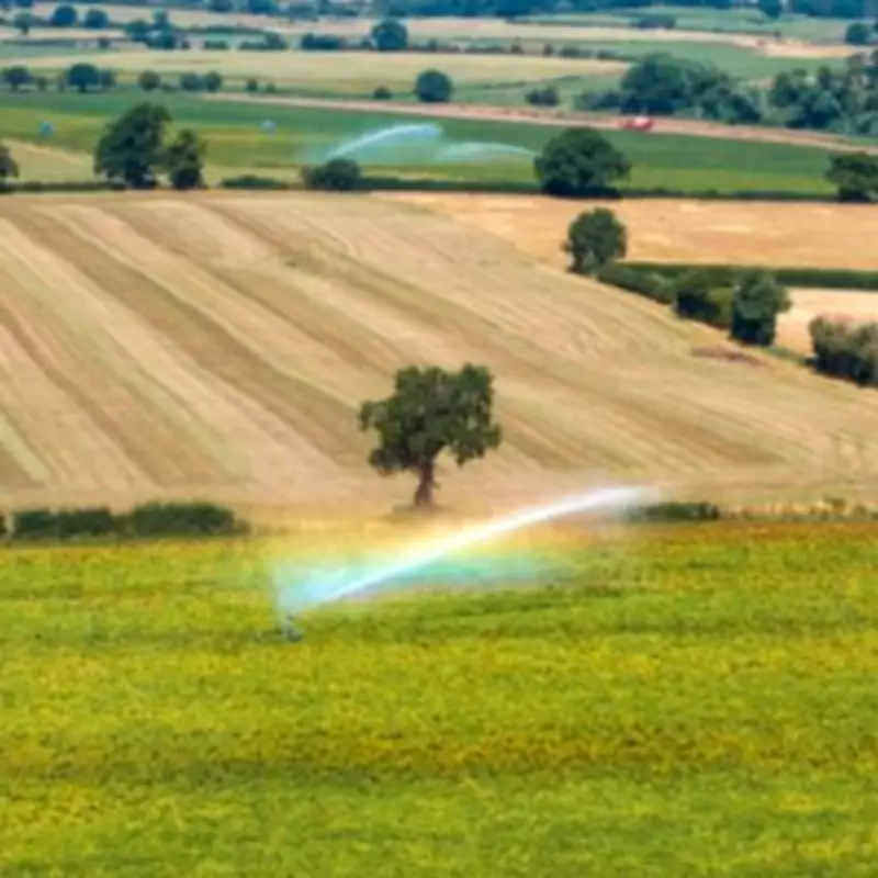11 UK Counties to Miss First Mini-Heatwave of 2026 - Full List Revealed
