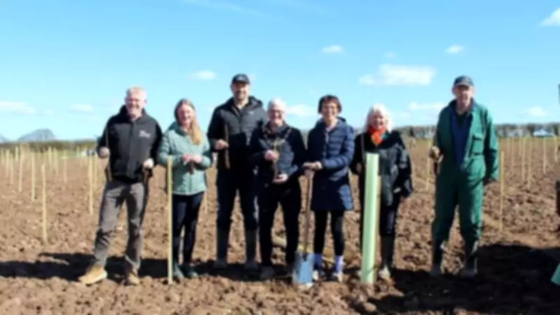 7,000 Trees Planted to Create New Woodland in Nanpantan, Loughborough