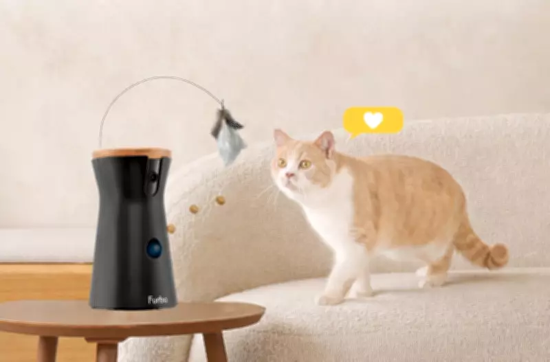 Affordable £32 Pet Camera Tosses Treats and Tracks Pets Remotely