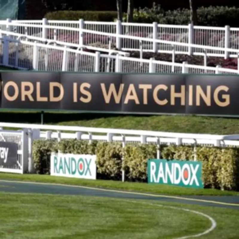 Aintree Grand National 2026: Nine Horses Withdrawn as Favourite I Am Maximus Aims for Repeat Victory