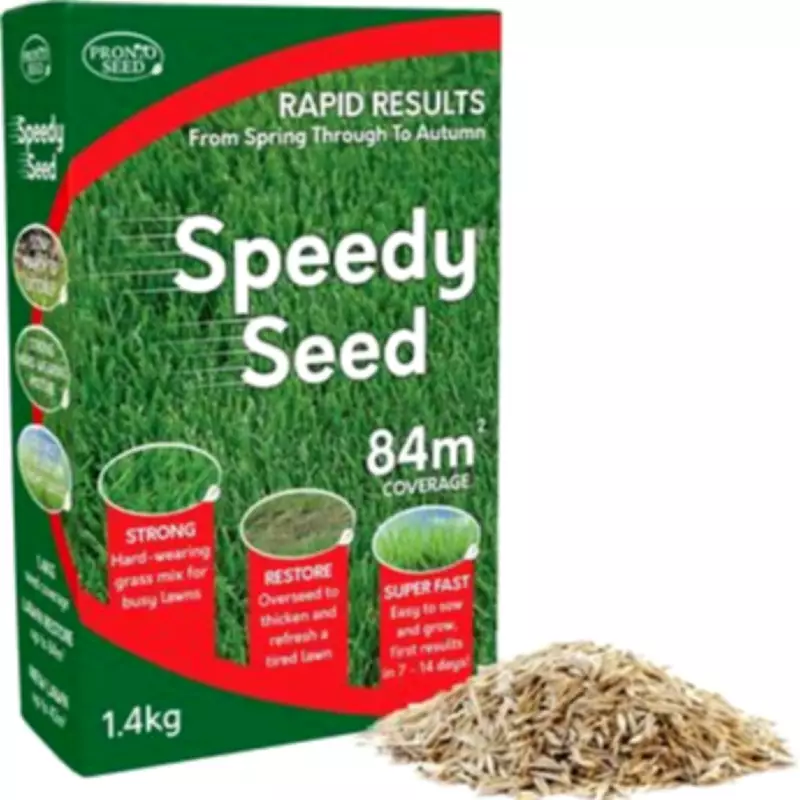 Amazon's £14 Grass Seed Grows in a Week, Gardeners Report Lush Lawns