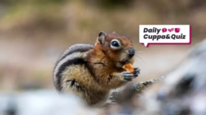 April 26 Quiz: Big Five, Norse Cats, and Monopoly Stations