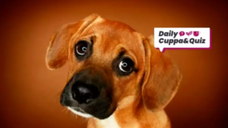 April 28 Quiz: Elvis, Shakespeare, and Michael Caine Facts