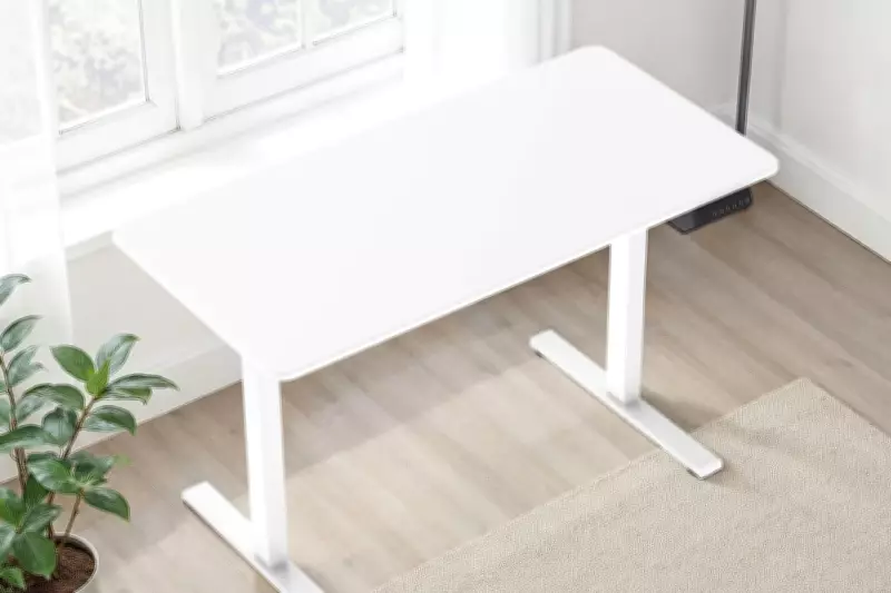 Bargain Electric Standing Desk Transforms Your Workday for £241