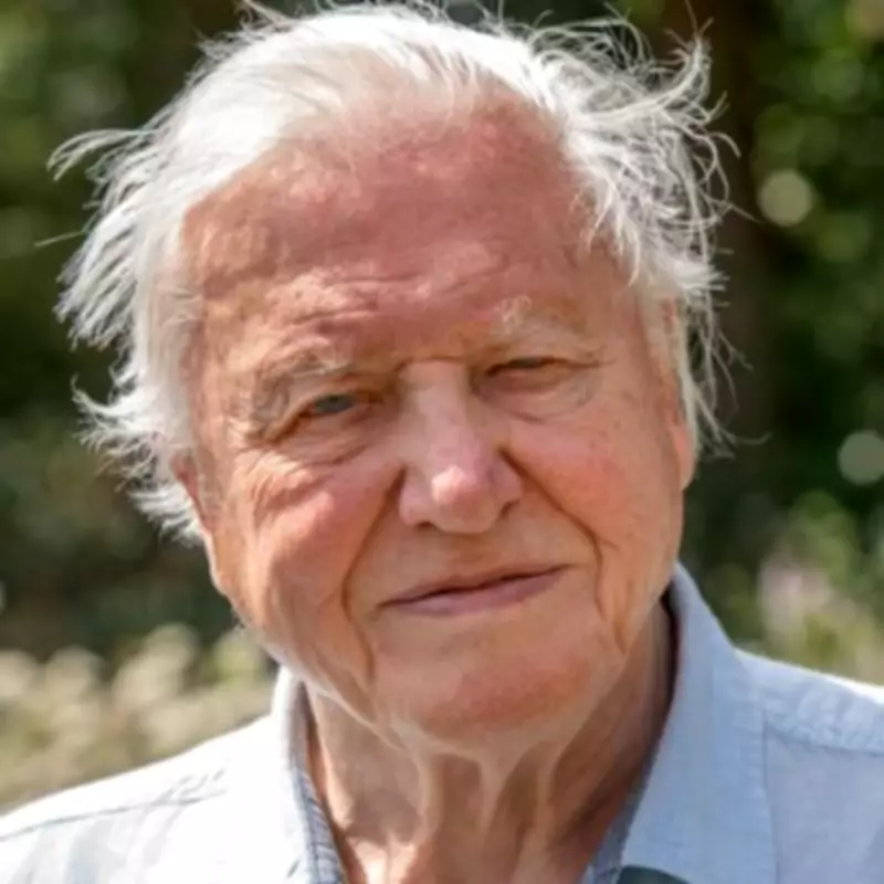 BBC to Broadcast Special Live Event for Sir David Attenborough's 100th Birthday