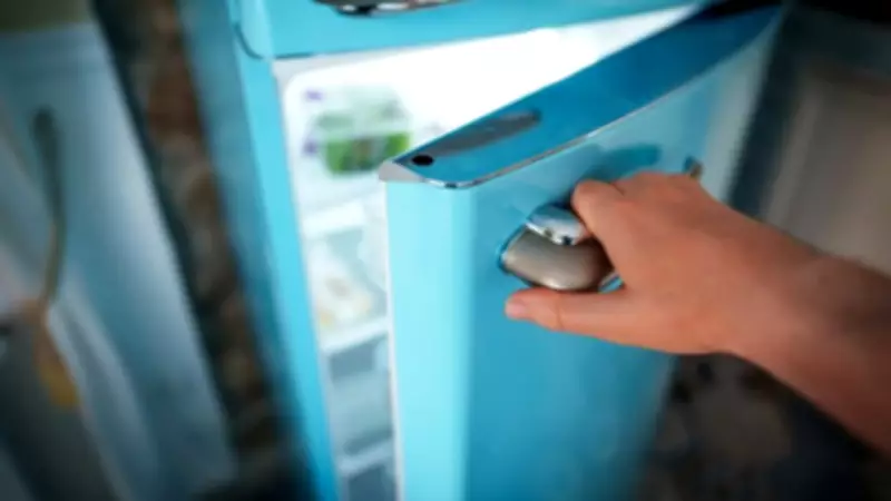 Beyond Food: Five Surprising Household Items You Should Freeze