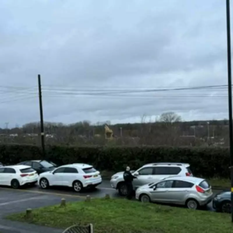 Birmingham Council Submits Plan for New Cemetery Entrance to Ease Traffic Chaos