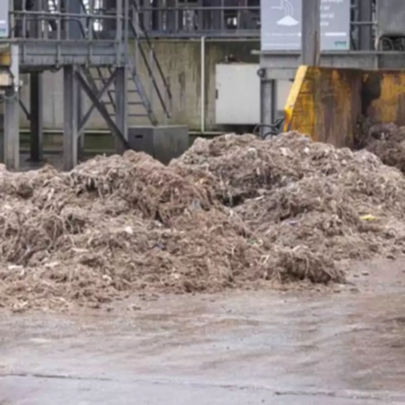 Birmingham Sewer Workers Reveal Shocking Finds: From Guns to a Whole Horse