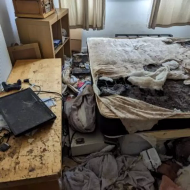 Birmingham Woman Banned from Keeping Animals for 10 Years After Neglect Case