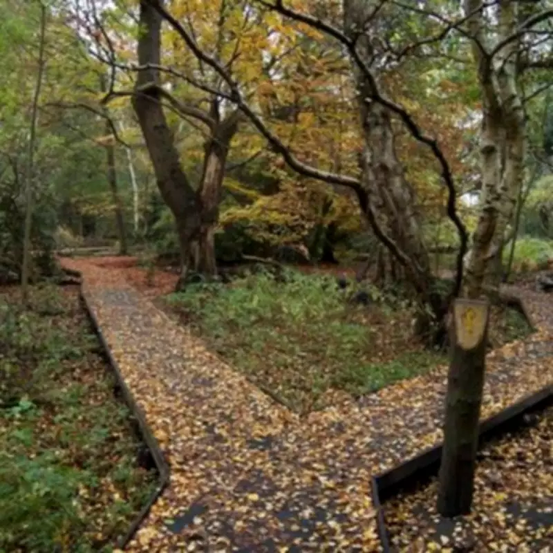 Birmingham's Hidden Historical Gems: The Stories Behind Everyday Places