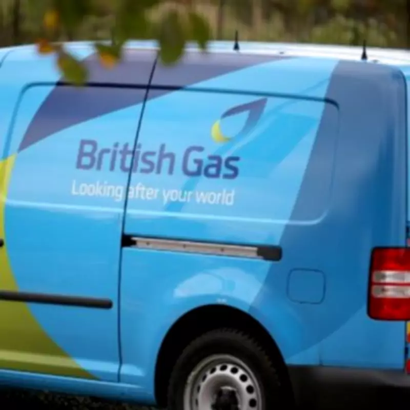 British Gas Announces Plug-In Solar Panels for Renters and Flat Dwellers
