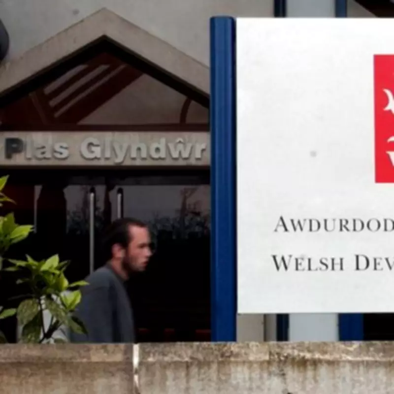 Calls for New Welsh Development Agency to Revitalize Business Support System