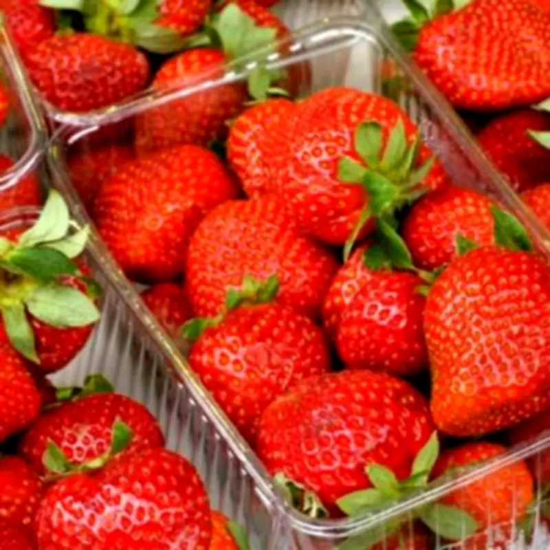 Co-op First UK Supermarket to Sell 100% British Strawberries