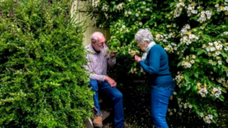 Derbyshire Garden Celebrated in Exhibition and Book by Photographer Ashley Franklin