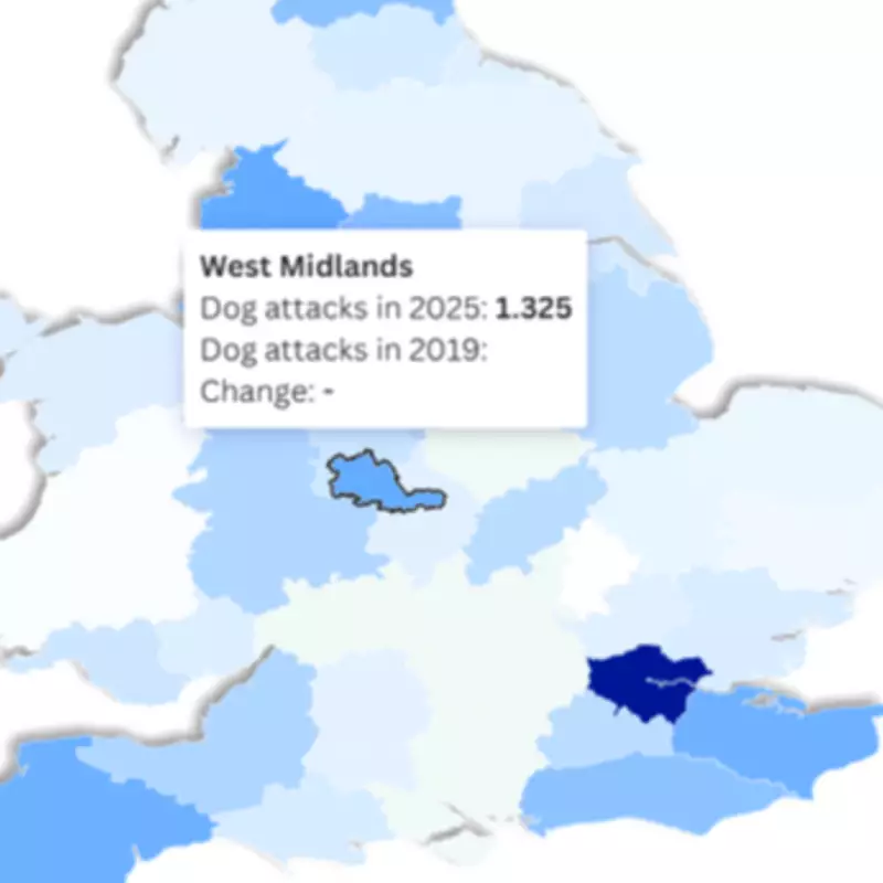 Dog Attacks in West Midlands Double Since Pandemic: Three Daily