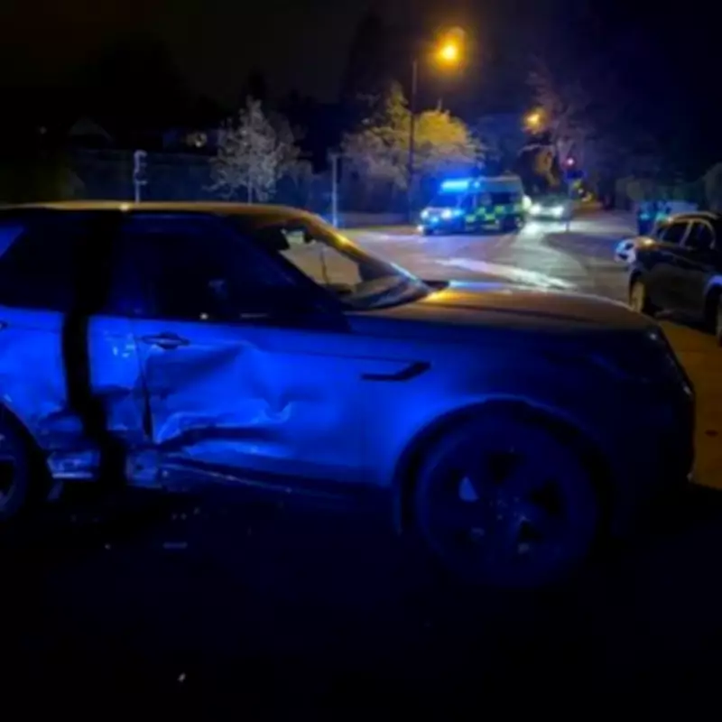 Dog Thrown Through Car Window in Sutton Coldfield Crash; Couple Appeal