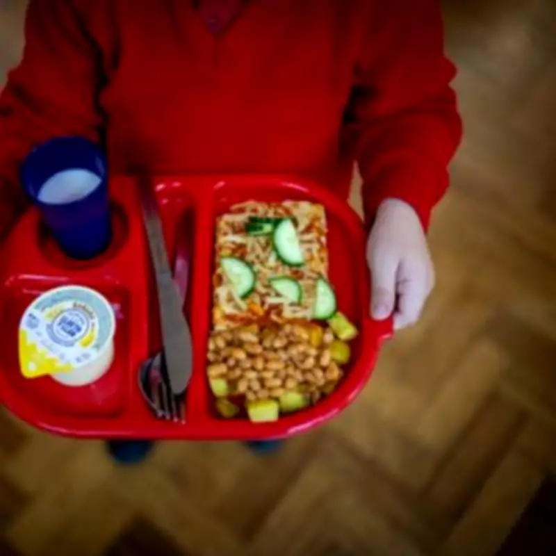 England's School Meal Overhaul: Labour Bans Nuggets, Puddings from 2026