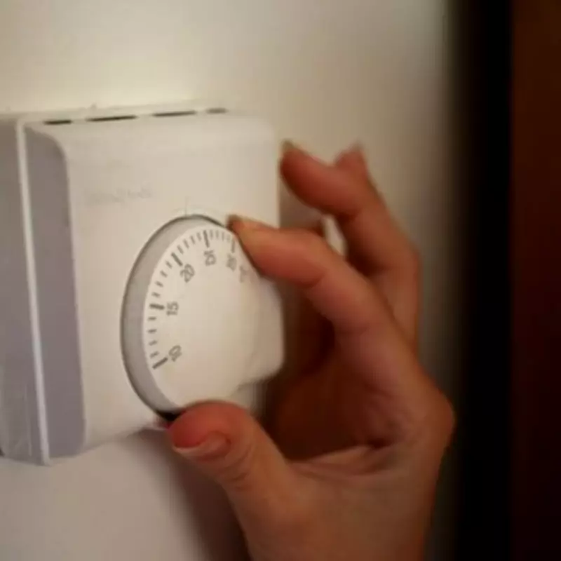 E.ON Next Launches UK's First Hybrid Energy Tariff Amid Price Cap Concerns