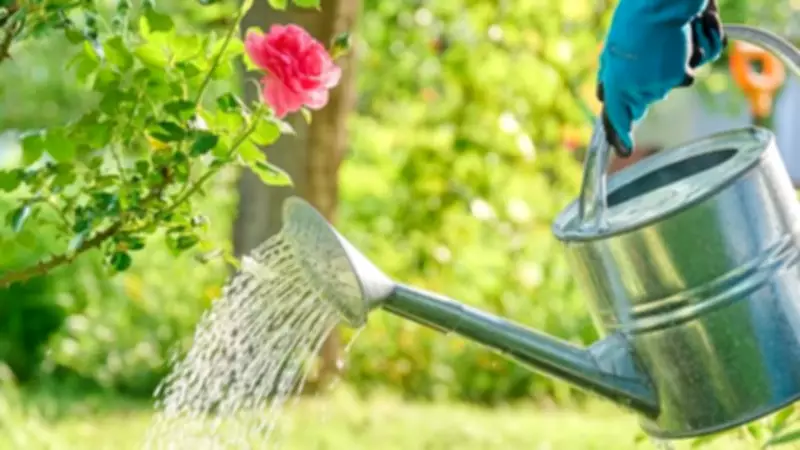 Essential April Rose Care: Watering Tips for Luxuriant Blooms