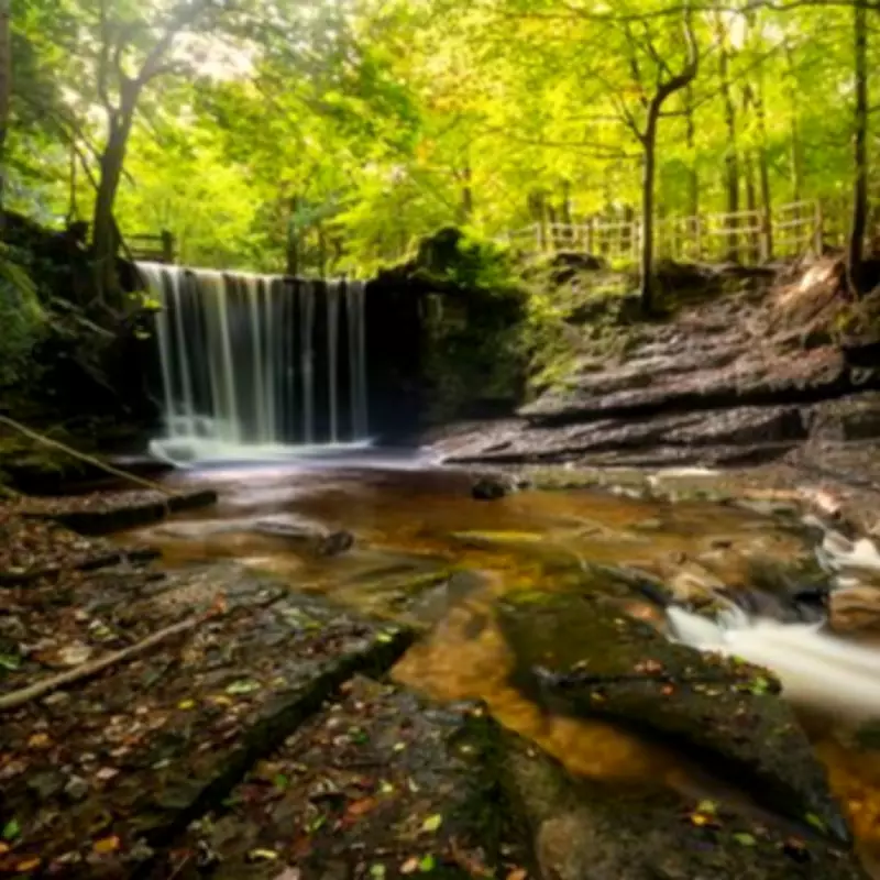 Family Recommends Waterfall and Bluebell Trail Near Birmingham
