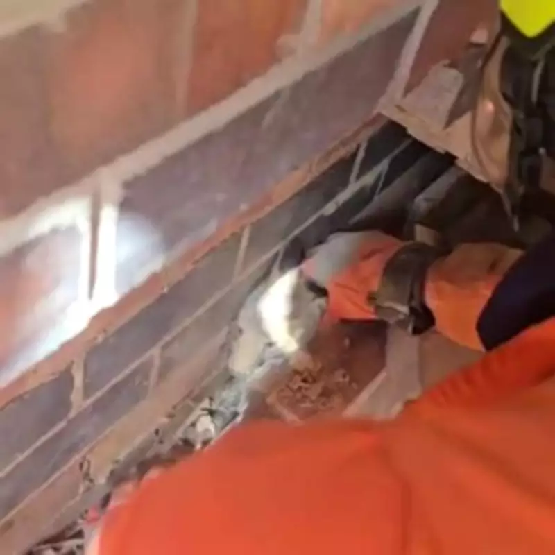 Firefighters Rescue Three Trapped Fox Cubs from Leicester Garage Wall
