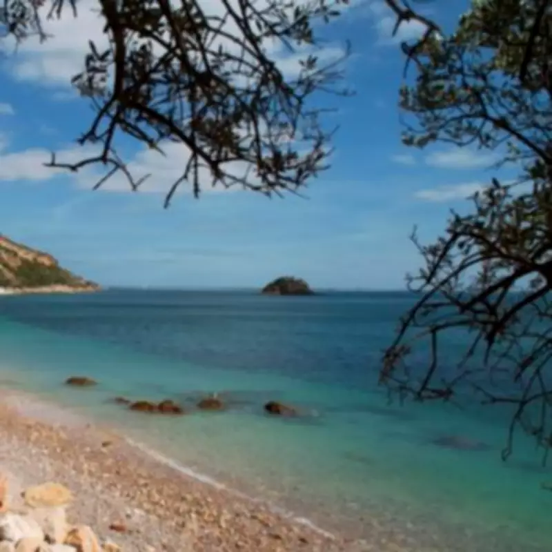 Foreign Office Updates Portugal Travel Advice: New EES Rules