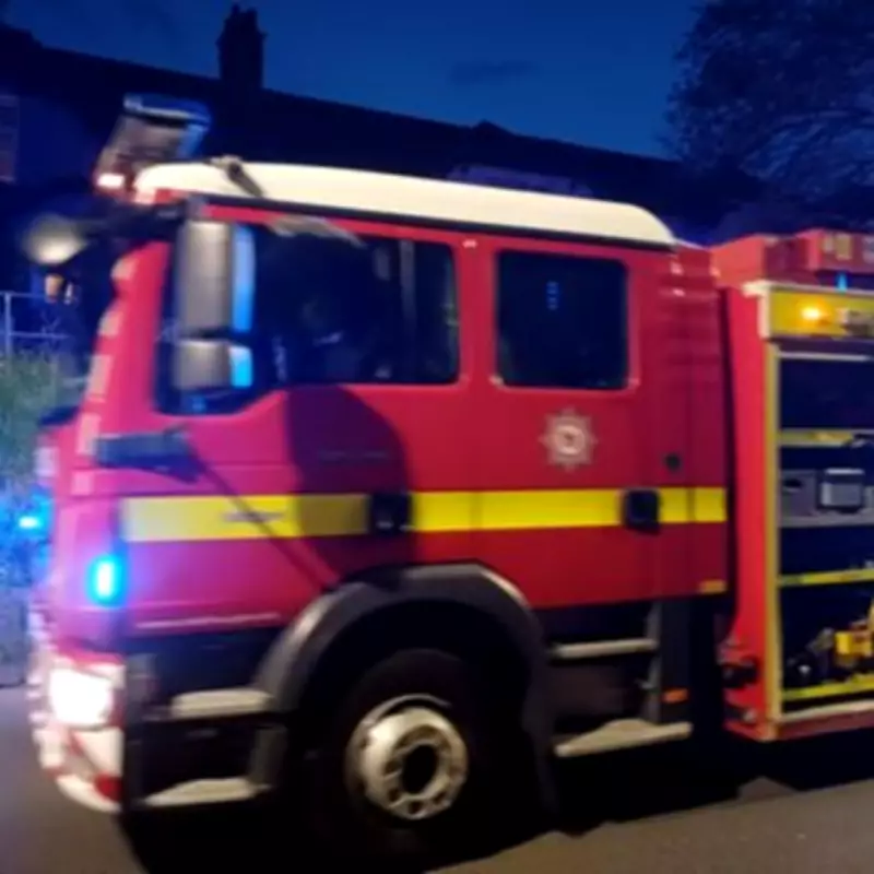 Four Dogs Perish in Accidental Kennel Fire on Devon-Somerset Border