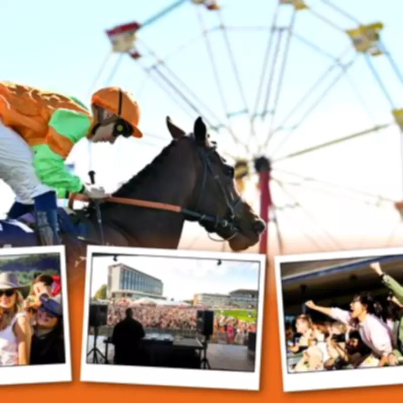 Free Summer Horse Racing Tickets Available for Premium Subscribers