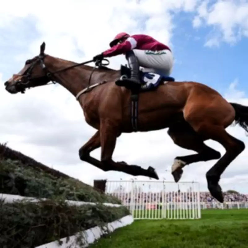 Gold Dancer Dies After Winning Race at Aintree's Grand National Festival