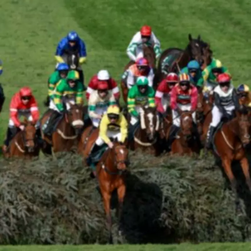 Grand National 2026: Sky Bet Pays Out for 7 Places, Urging Fans to Check Slips