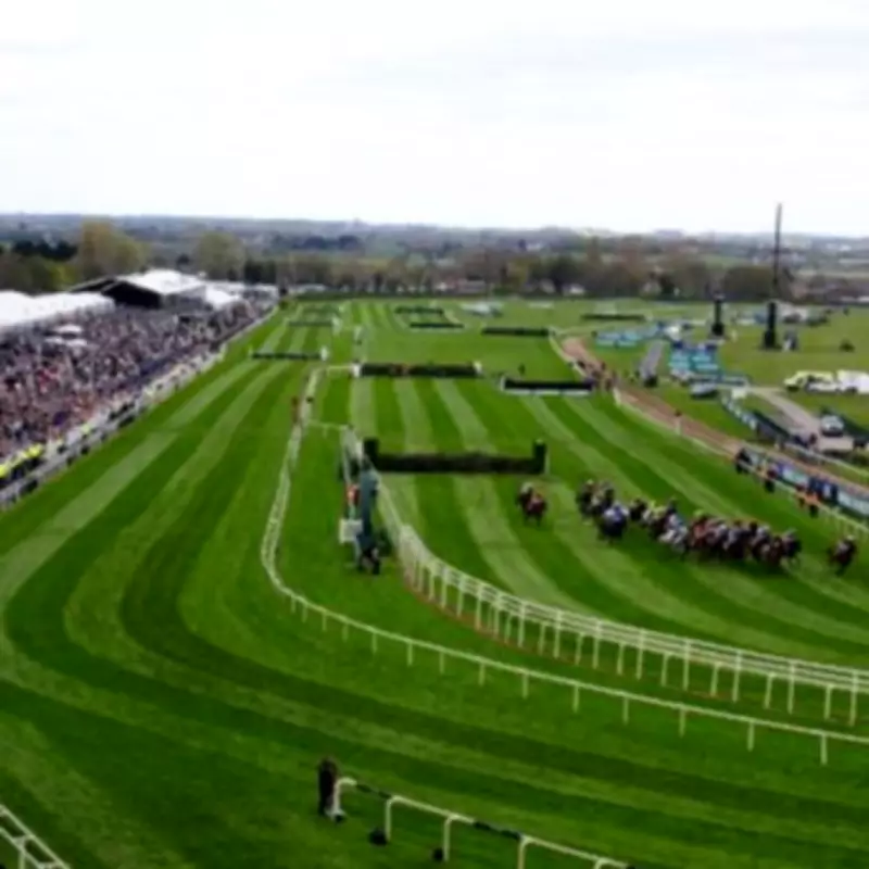 Grand National Bookmakers Panic as Outsider Becomes 7-1 Favorite