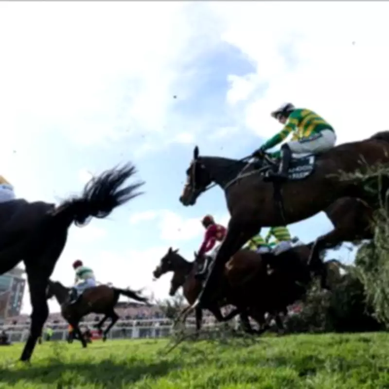 Grand National Horse Hospitalised After Aintree Race, Two Others Assessed