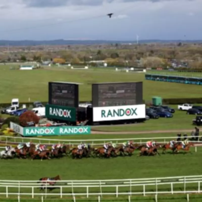 Grand National Jockey Suspended for 10 Days After Horse Fall Incident