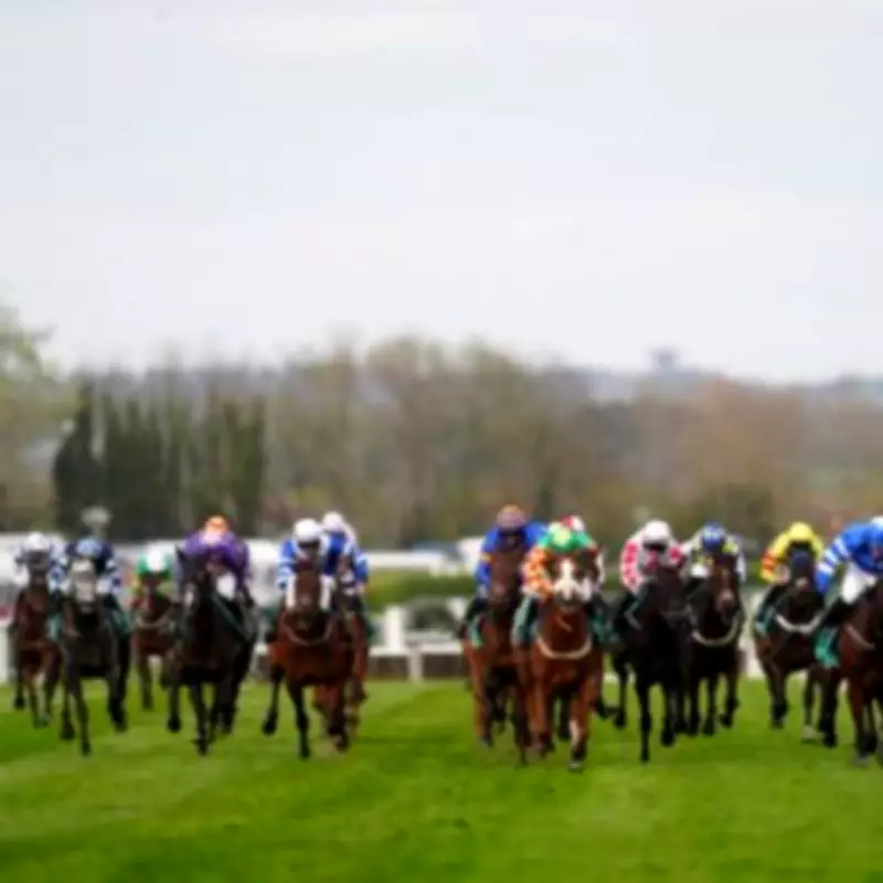 Grand National Trends Identify Horse With 'Perfect Profile' for Aintree Victory