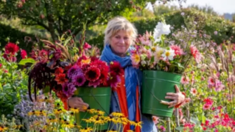Grow Your Own Cut Flowers: Expert Tips for Summer Blooms and Vase Longevity
