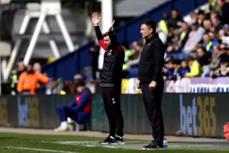 James Morrison Urges West Brom Focus as Championship Survival Nears