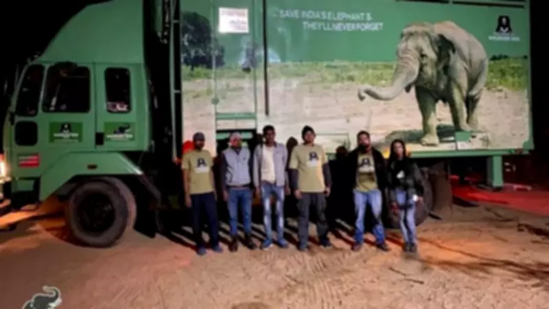 Knitting Nannas at Saltburn Care Home Craft Elephants for Wildlife SOS