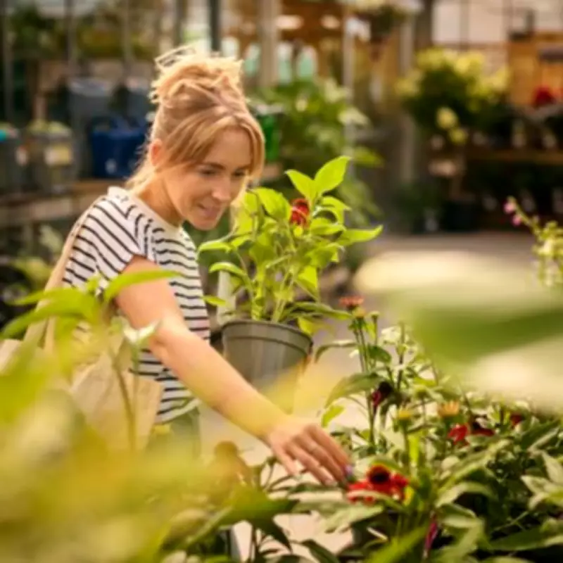 Major UK Garden Centre Supplier to Morrisons Enters Administration