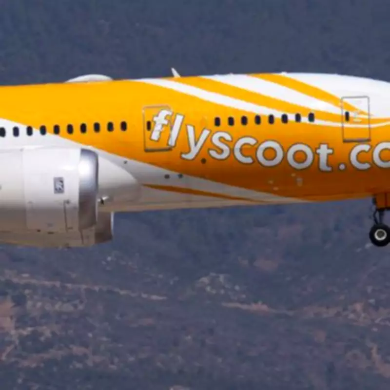 Man accused of sexual assault on flight requests Airbnb bail