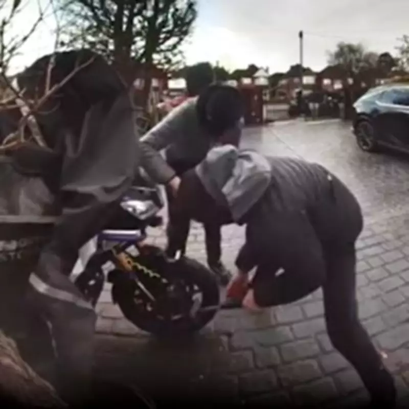 Masked Thieves Smash Gates and Locks to Steal Blood Biker's Motorbike in Daylight