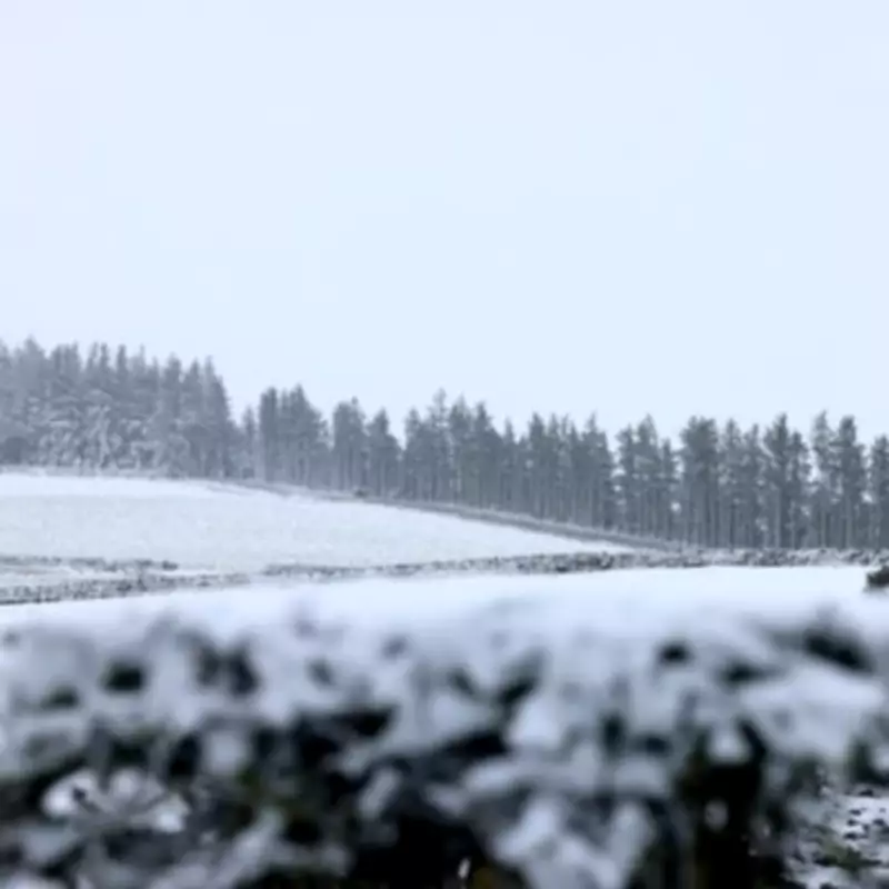 Met Office Issues Snow and Wind Warnings Across UK Ahead of Easter Weekend