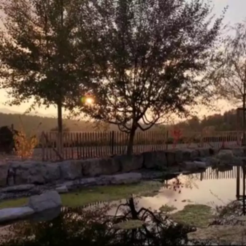 Midland Mum Pays £10k for Swiss Assisted Dying After Son's Death