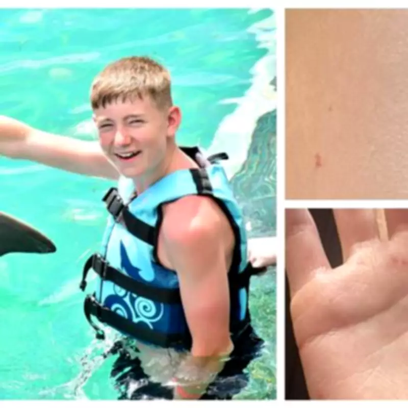 Midlands Schoolboy Beaten with Wooden Bat After Knock-and-Run Prank