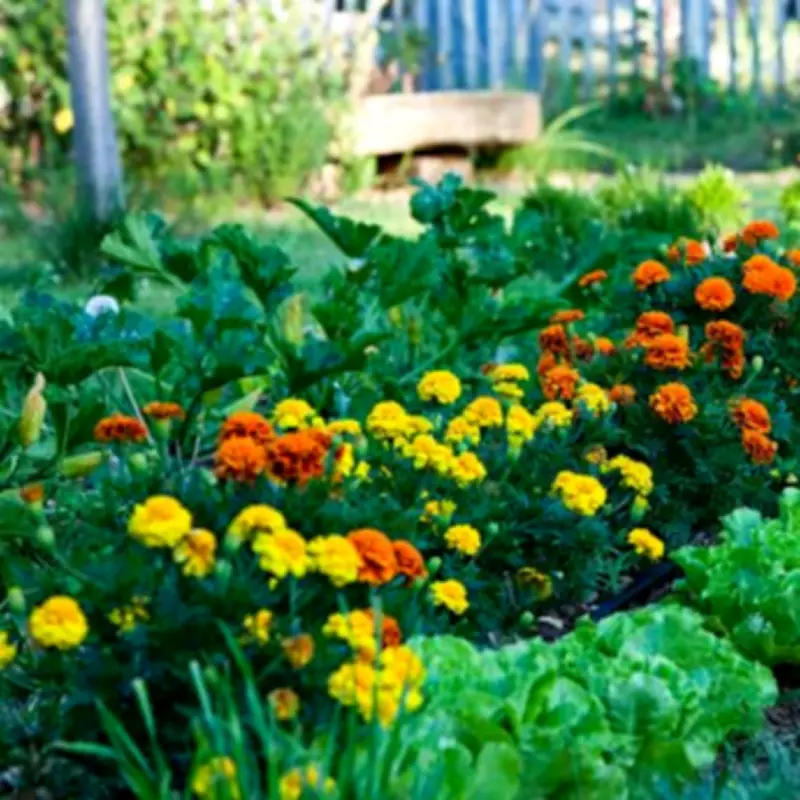 Monty Don Reveals the Easiest Plant to Grow in Your April Garden