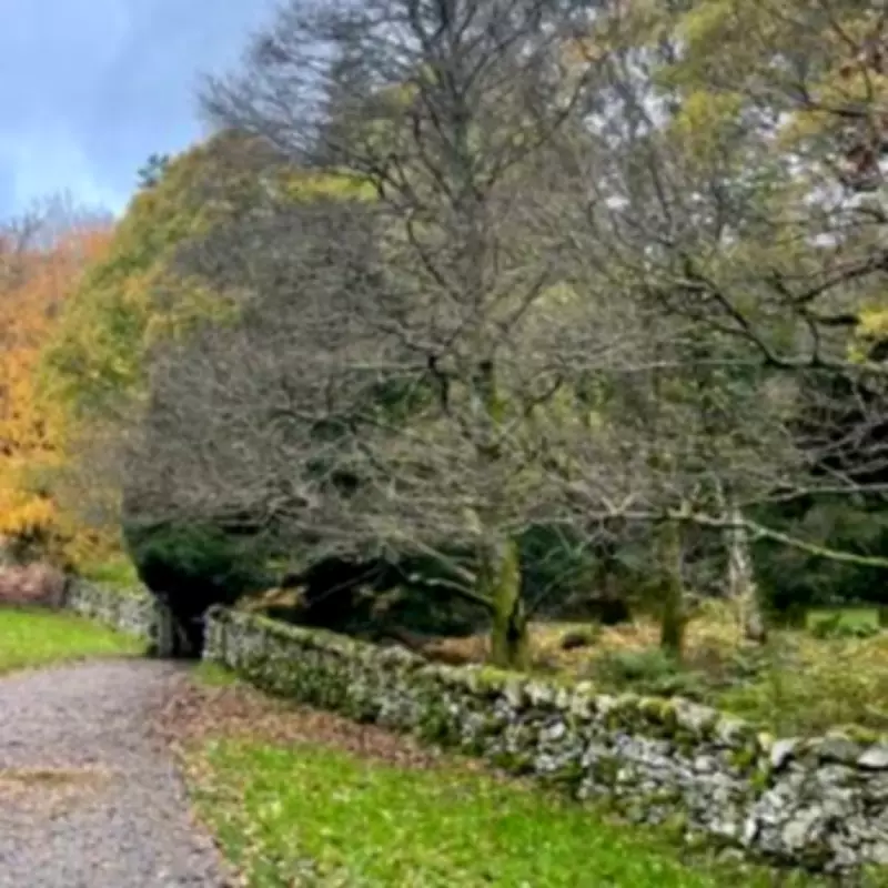 National Trust to Close 137 UK Holiday Cottages, Including Birmingham Sites