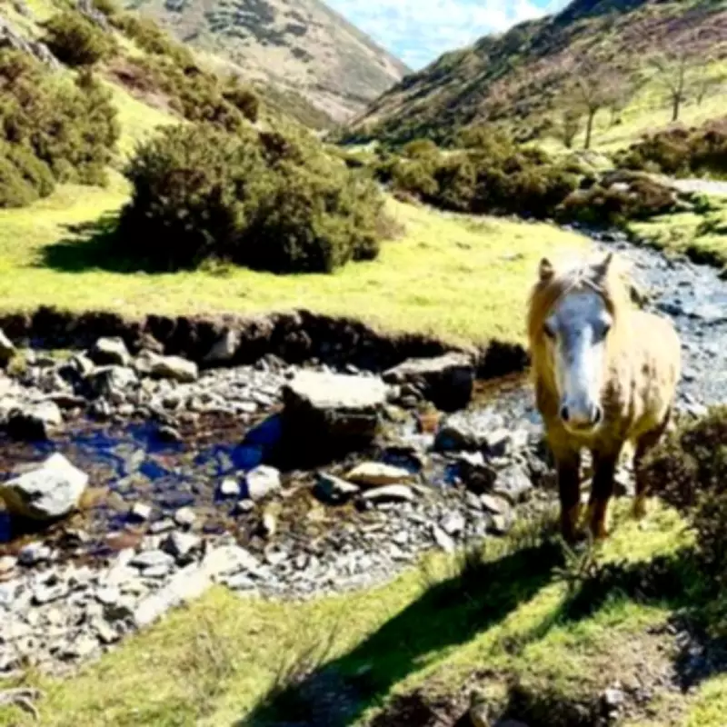 National Trust Waterfall Walk Near Birmingham Offers Scenic Escape