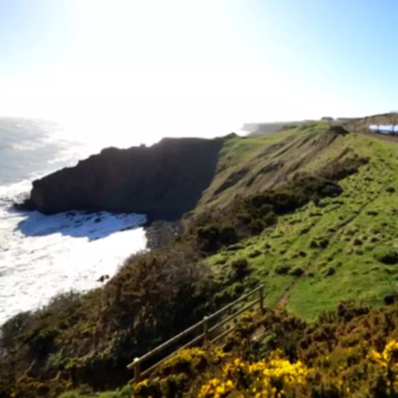 New Lumo Train Service from West Wales to London Launching December 2027